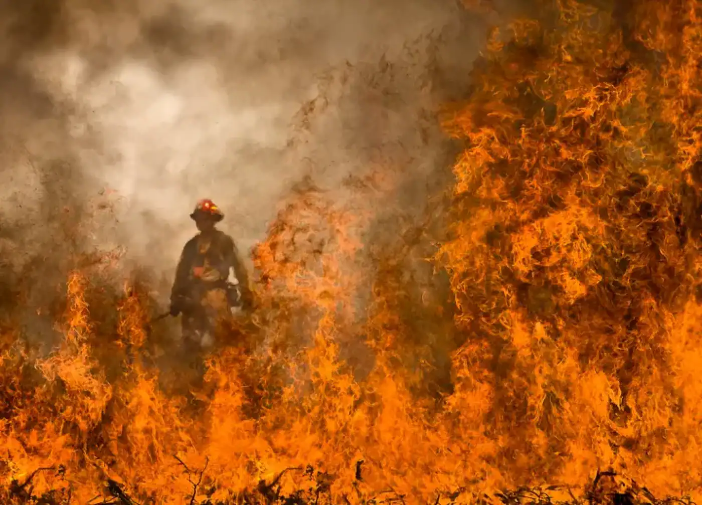 Detidas seis pessoas por incêndio florestal no distrito de Braga