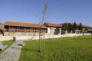 Projeto 'Porta 7' recebe financiamento da 9.ª Geração do Programa Escolhas