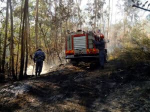 Sistema de prevenção de incêndios florestais poderá abranger todo o território da CIM Cávado