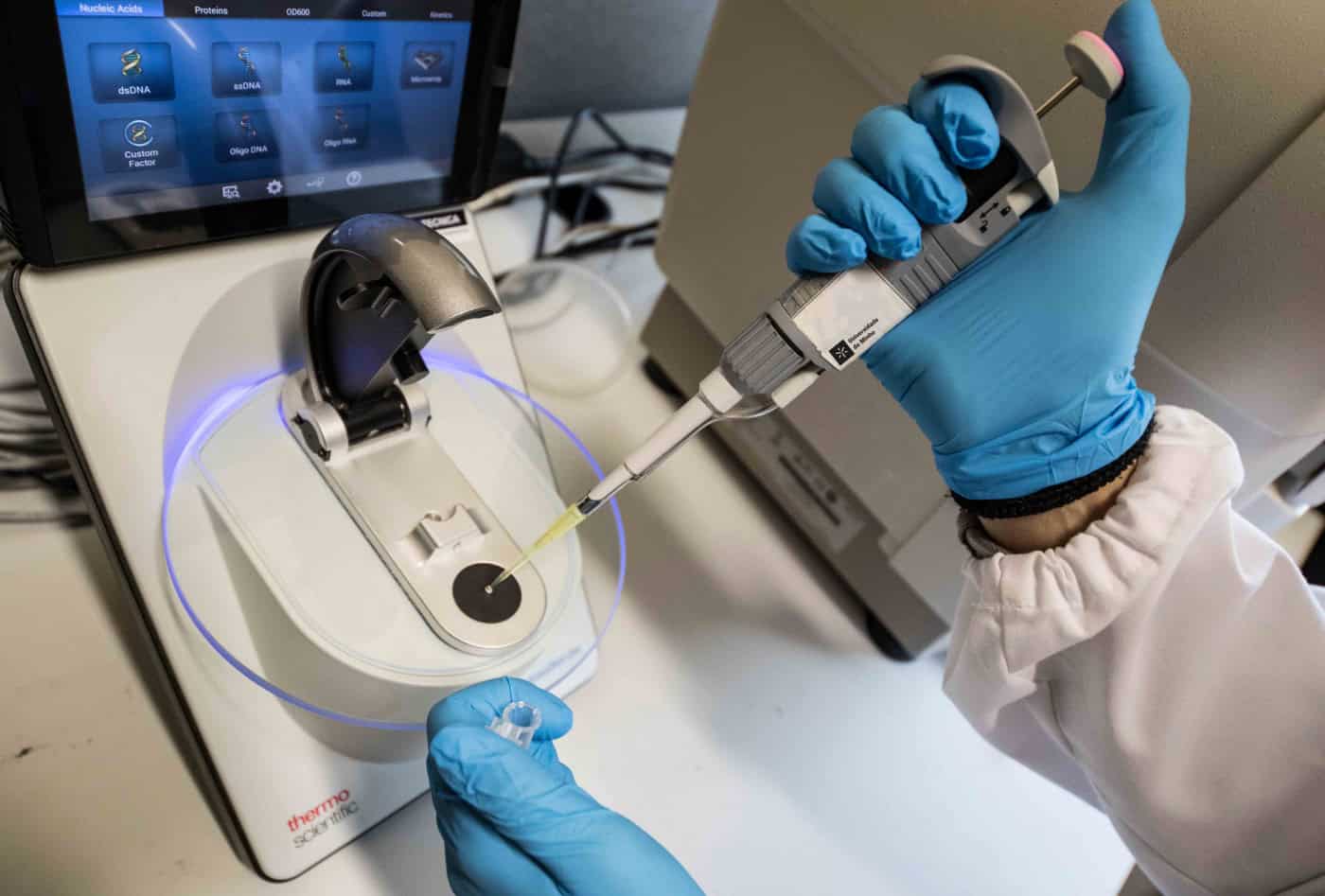 UMinho tem 65 dos cientistas mais citados do mundo