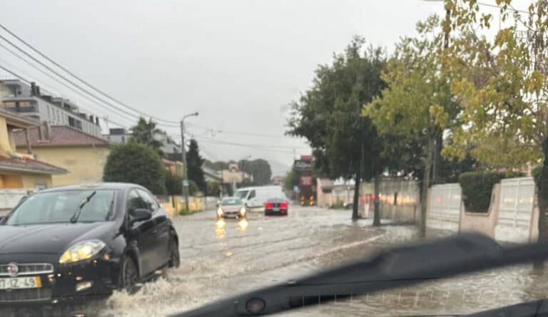 Braga. Mau tempo provocou queda de árvores e danos em viaturas