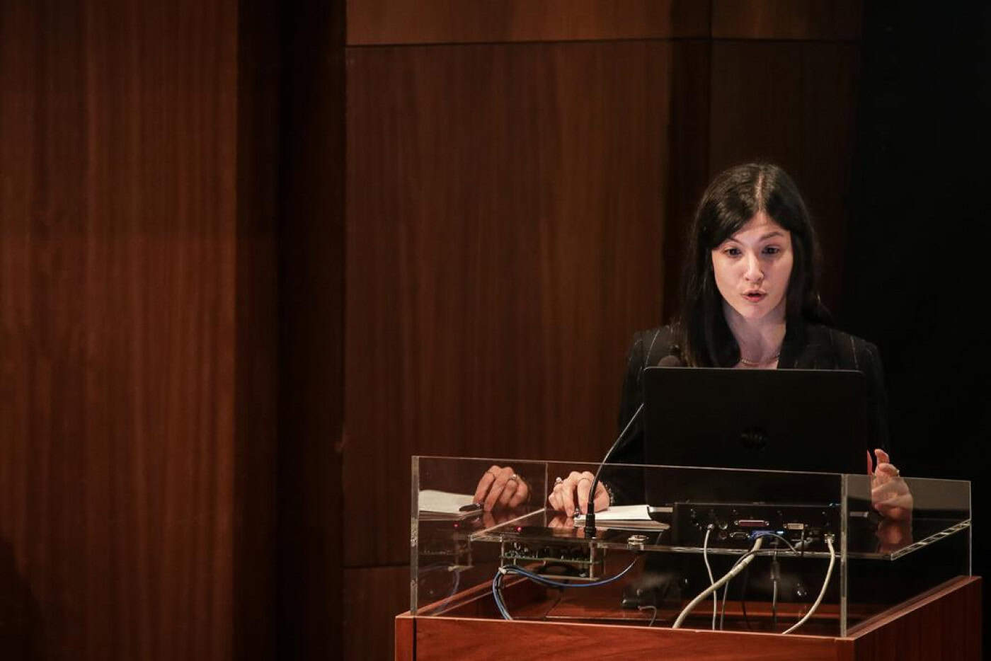 Rita Sá Machado toma hoje posse como nova diretora-geral da Saúde