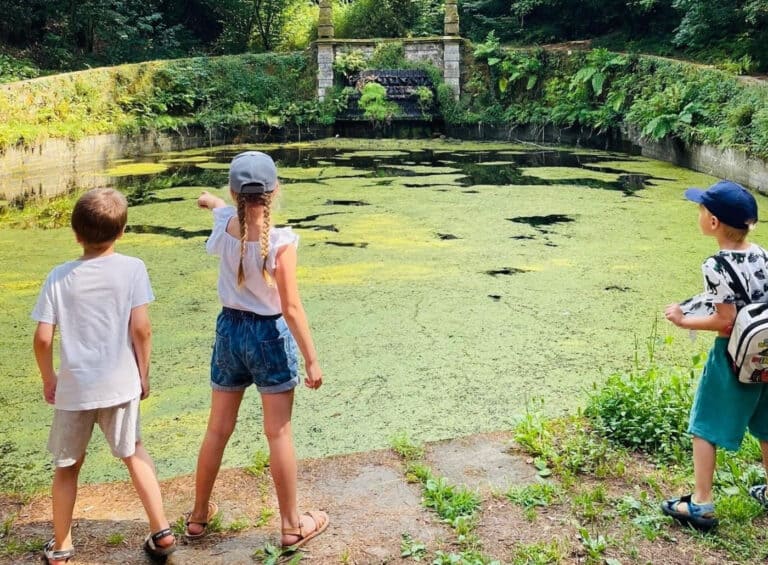 Adolescere capitaliza casos de sucesso na resposta de apoio familiar e acompanhamento parental&nbsp;&nbsp;