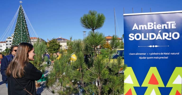 Braga troca pinheiros naturais por bens alimentares este Natal