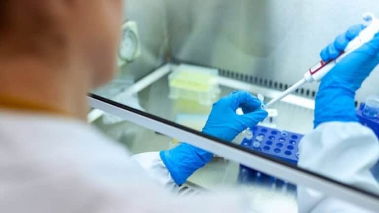 Investigadores do Porto identificam proteína que pode ter implicações na demência