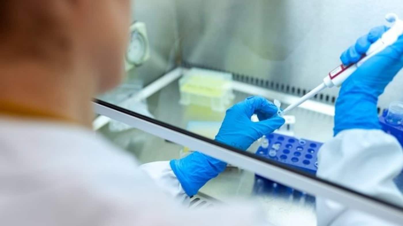 Investigadores do Porto identificam proteína que pode ter implicações na demência