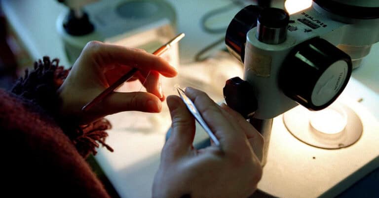 Abrem hoje candidaturas para ingresso de mil investigadores na carreira