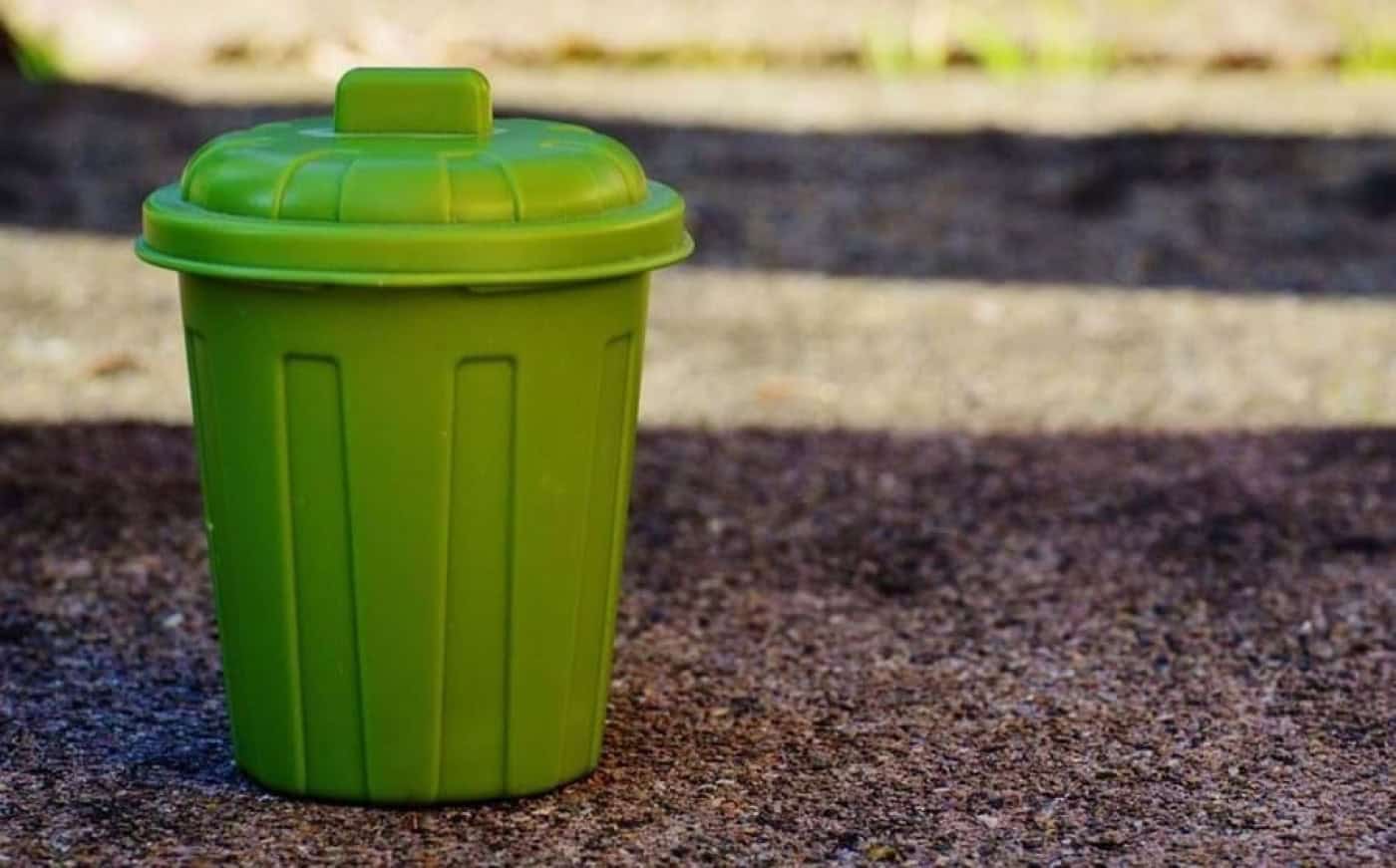 Obrigatoriedade da recolha de biorresíduos só avança dentro de seis meses