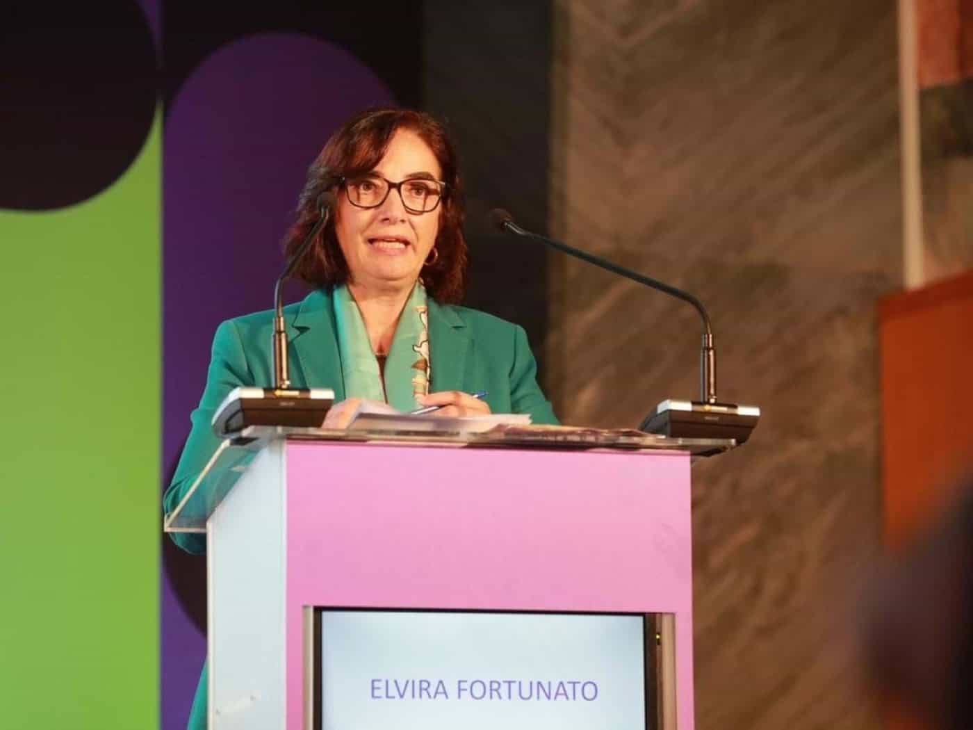 Estudantes PALOP vão ter formação de um ano para facilitar transição para o sistema português