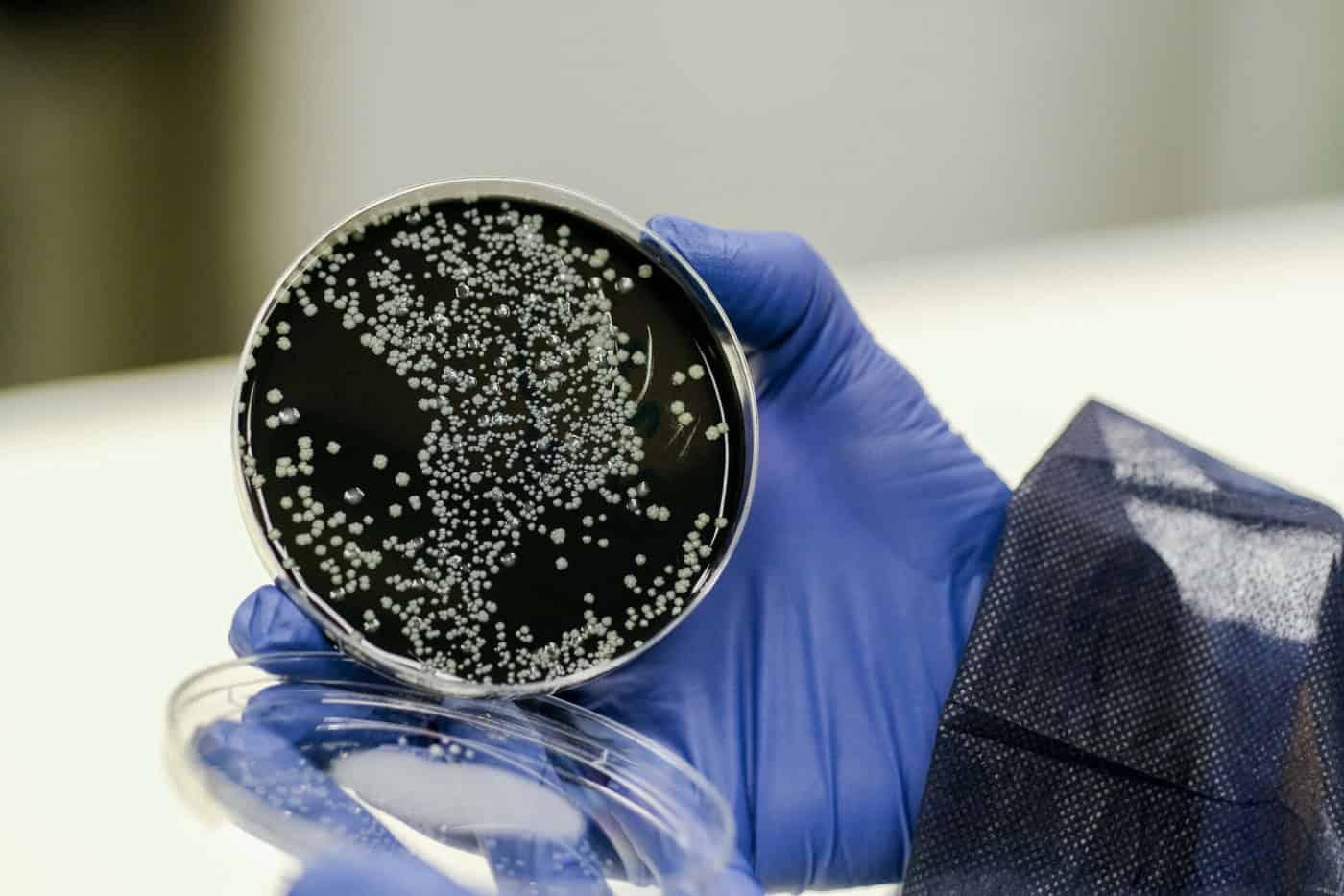 USP Braga apela à colaboração das empresas locais na prevenção de Legionella