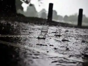 Registadas 146 ocorrências principalmente no Norte e Centro devido ao mau tempo&nbsp;