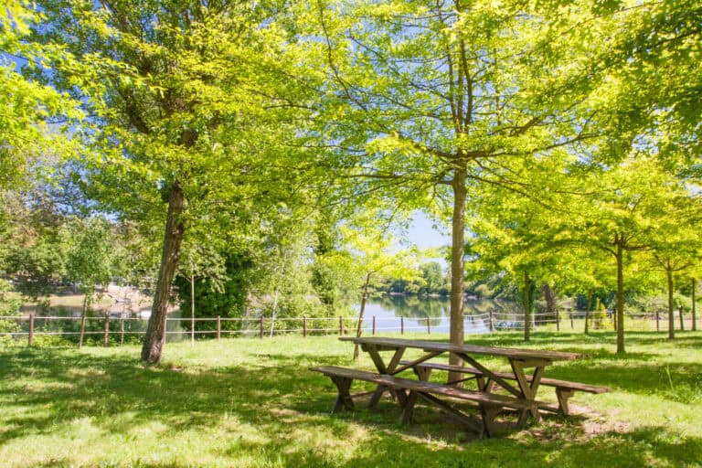 'Descentrar' leva cultura a 18 freguesias do concelho de Braga