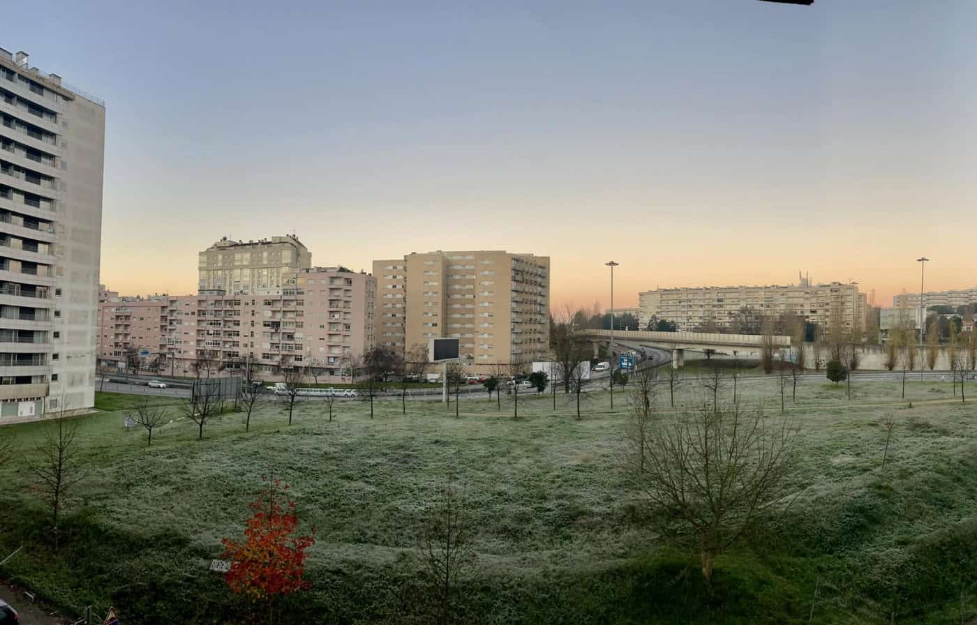 CDU alerta que parecer da APA pode ter por base "informação que não é verdadeira"