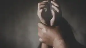 PSP registou mais de 336 mil denúncias criminais nos últimos dois anos 