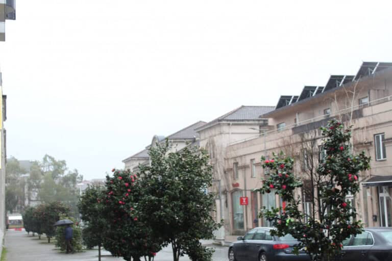 Proteção Civil alerta para agravamento das condições meterológicas nas próximas 48 horas&nbsp;