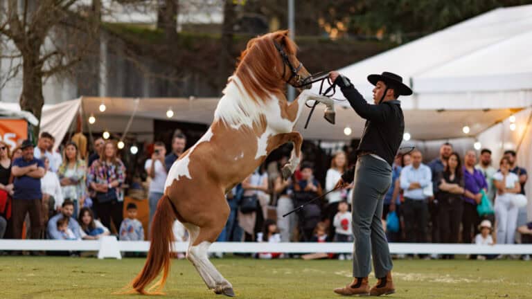 AGRO atinge maior número de visitantes de sempre: 50.669