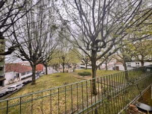 PS acusa CMB de falta de coordenação nas obras públicas