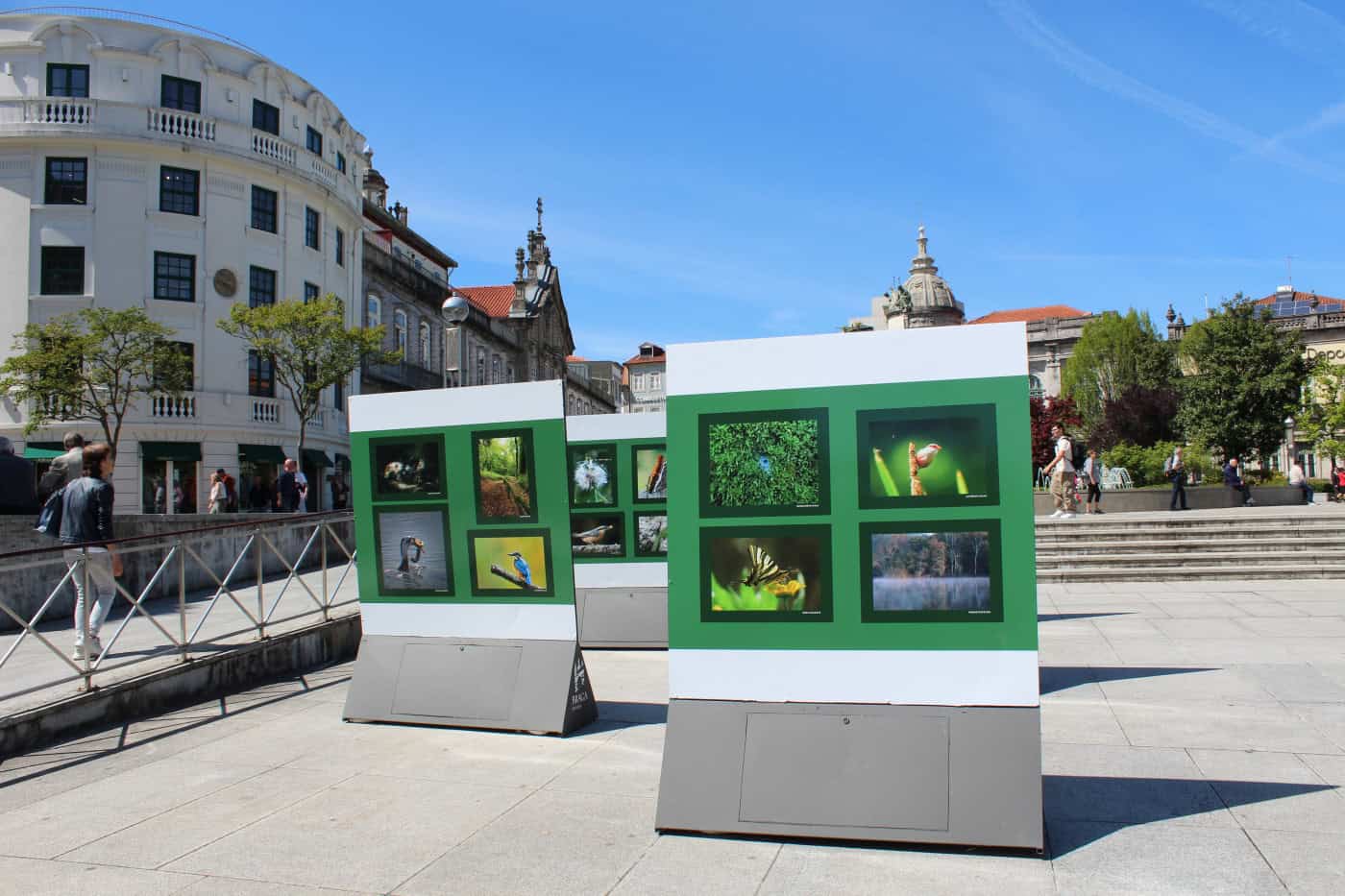 "Concurso fotográfico 'Braga Natural' é já uma referência a nível nacional"