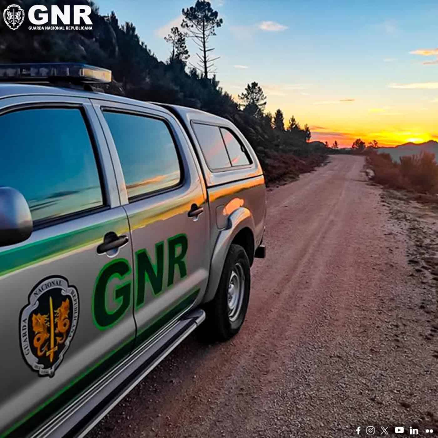 Braga entre os distritos com mais incumprimento na limpeza de terrenos