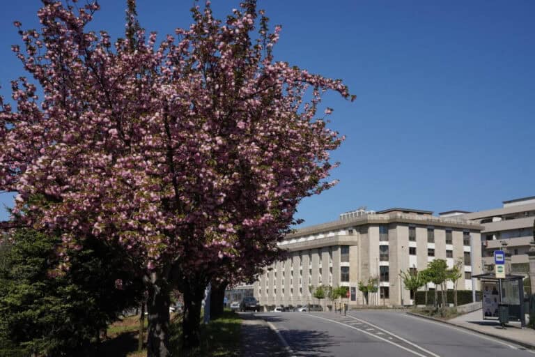 Autarca de Guimarães coloca nas mãos do governo novo Campus da Justiça