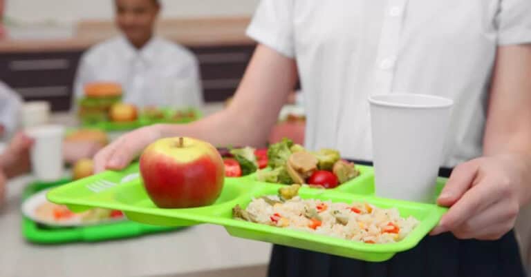 Cantinas escolares de Braga podem vir a ter refeição 100% vegetal&nbsp;&nbsp;