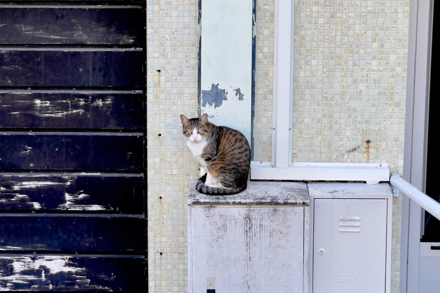 Forma da Vizinhança quer “descentralizar atividades culturais em Braga”