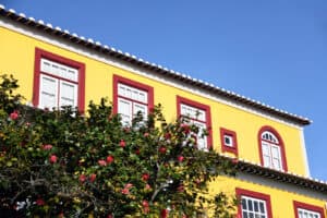 Famalicão lança prémio literário Camilo Castelo Branco para galardoar as melhores obras em português