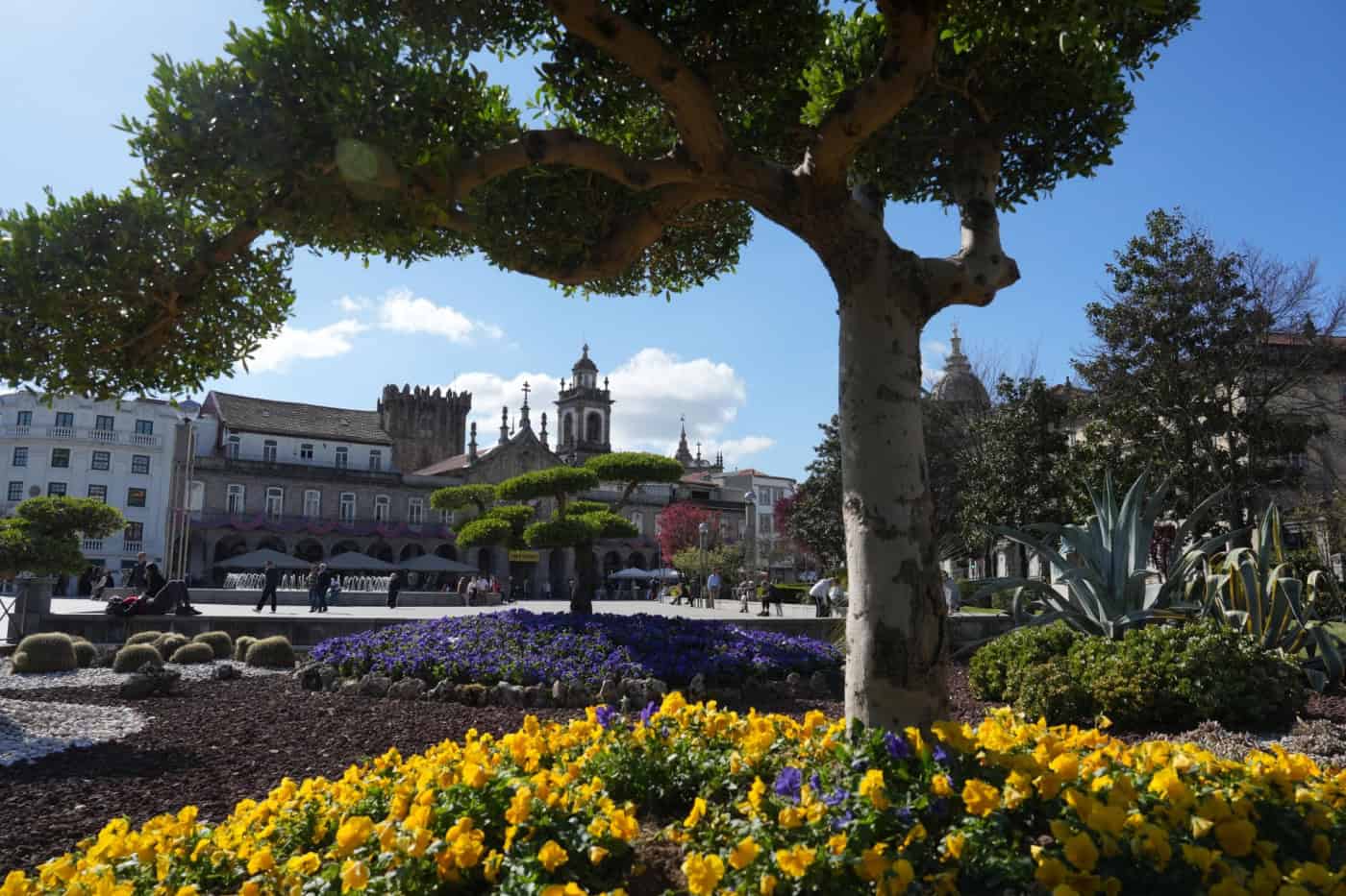 Aquisição de 234 veículos mais verdes impulsiona cumprimento das metas do PMEB