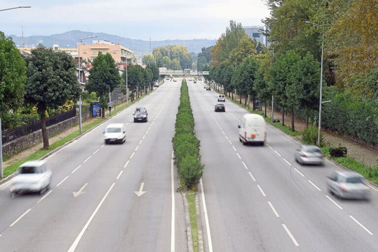 CMB avança com 2ª consulta pública ao Regulamento de Gestão do Arvoredo