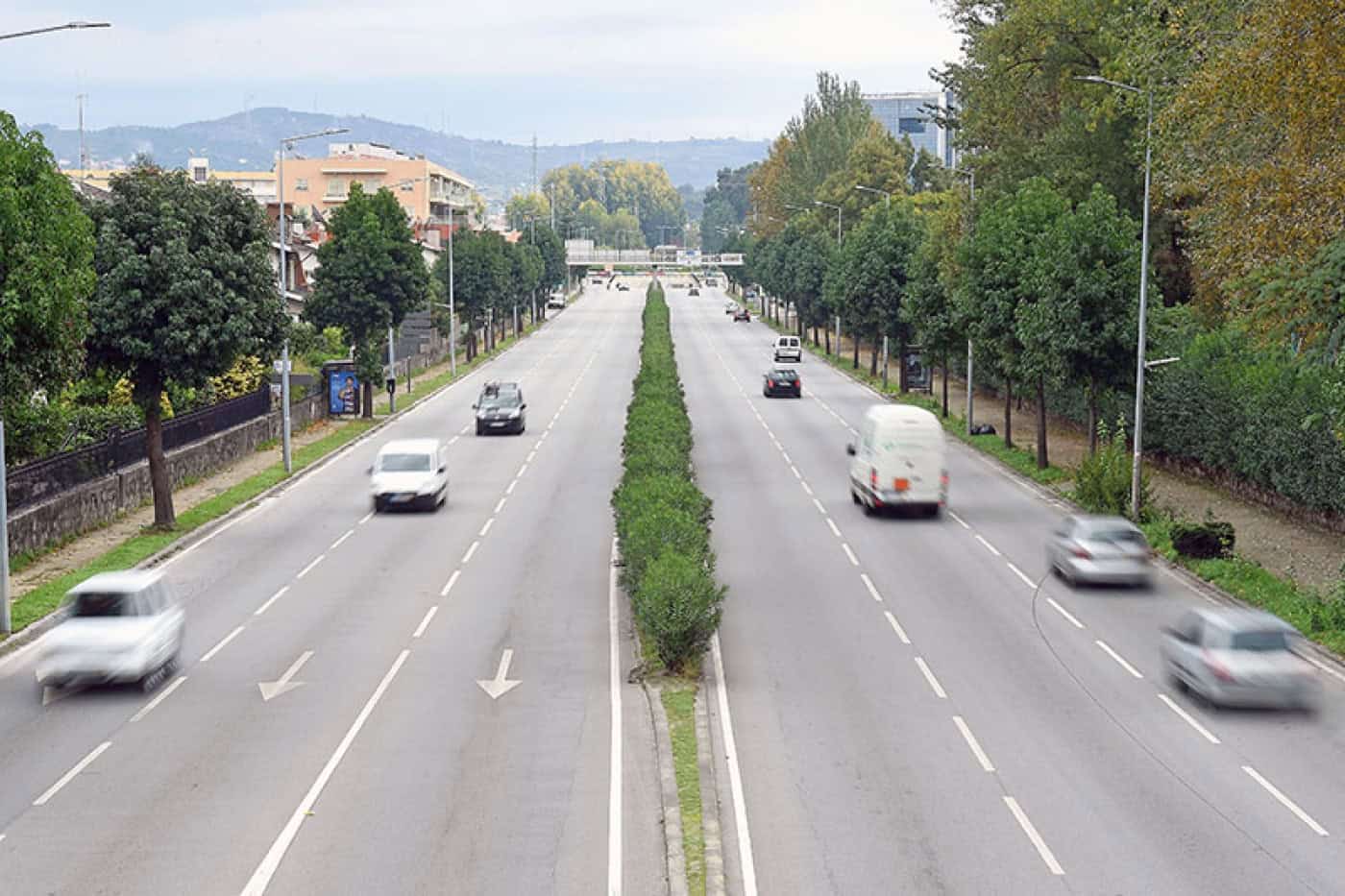 CMB avança com 2ª consulta pública ao Regulamento de Gestão do Arvoredo