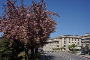 Deputados vimaranenses do PSD pedem ponto de situação sobre novo campus de Justiça