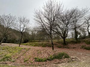 CMB classifica como monumento de interesse municipal as “Voltas da Macada”