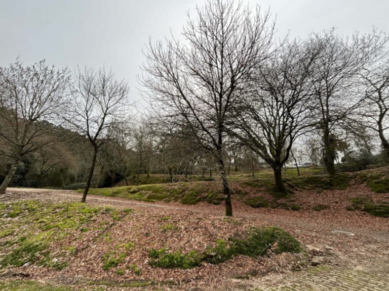 CMB classifica&nbsp;como monumento de interesse municipal as “Voltas da Macada”