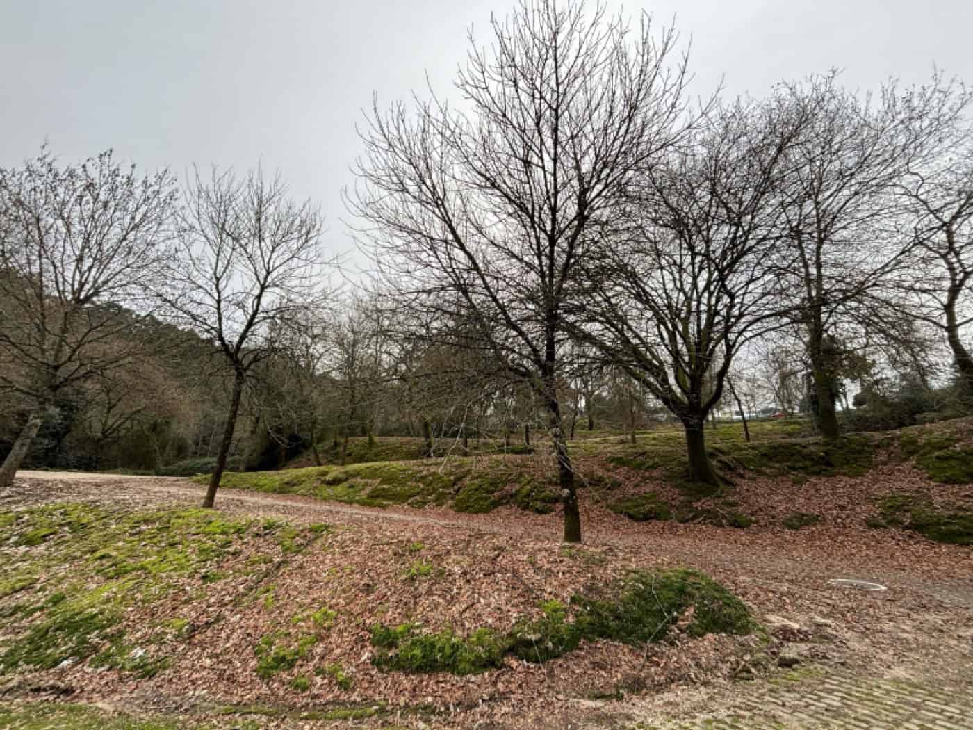 CMB classifica como monumento de interesse municipal as “Voltas da Macada”