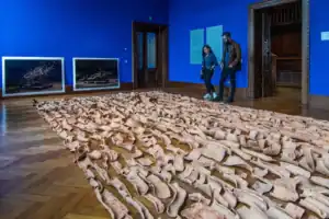 Candidaturas para representar Portugal na Bienal de Veneza deixam de ser por convite 