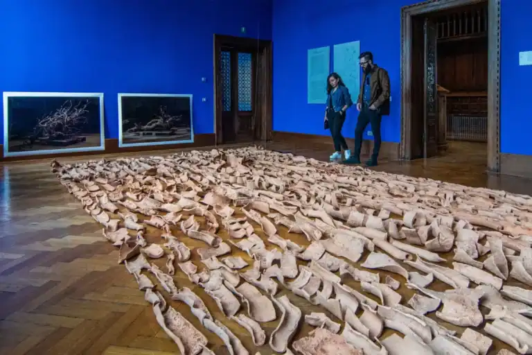 Candidaturas para representar Portugal na Bienal de Veneza deixam de ser por convite&nbsp;