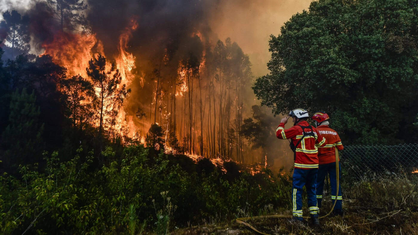 Google lança ferramenta de mapeamento de incêndios florestais em Portugal e mais 14 países