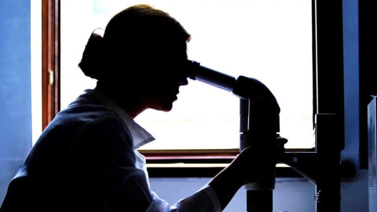 FCT vai cofinanciar ingresso na carreira de mais 100 cientistas que se somam aos mil iniciais