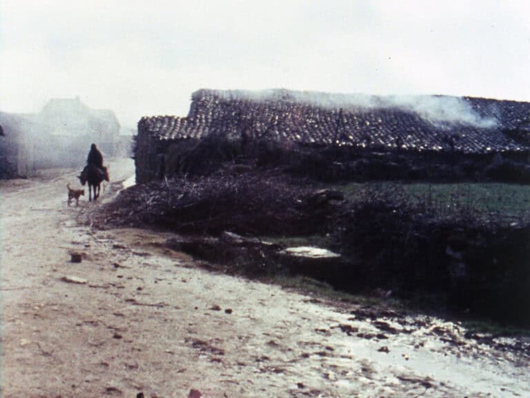 Theatro Circo revisita a obra de Margarida Cordeiro e António Reis