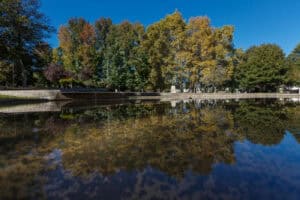 Famalicão começa no fim-de-semana a festejar o Dia Internacional da Juventude