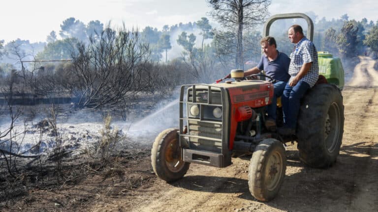 Agosto é já o mês com mais área ardida em 2024&nbsp;