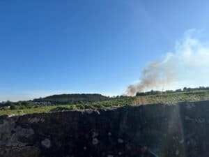 Dezenas de bombeiros combatem incêndio na freguesia de Sequeira