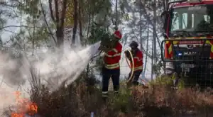 Alerta vermelho e laranja. Proteção Civil elevou estado de alerta especial para incêndios florestais&nbsp;