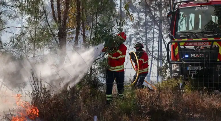 Alerta vermelho e laranja. Proteção Civil elevou estado de alerta especial para incêndios florestais&nbsp;
