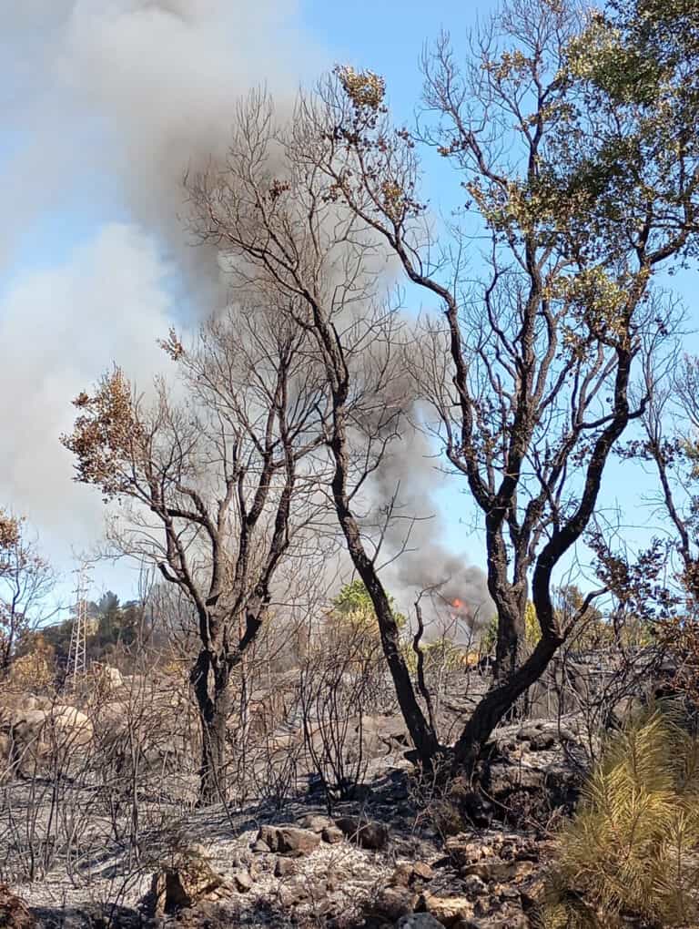 Distrito de Braga em perigo máximo de incêndio esta segunda-feira