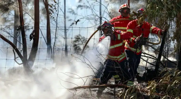 Fafe. Bombeiros controlaram fogo durante a madrugada&nbsp;