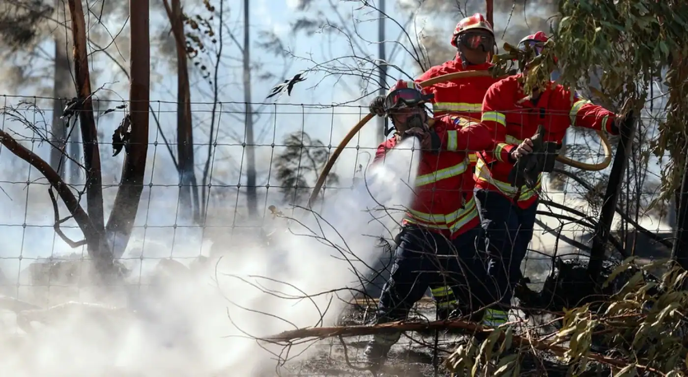 Fafe. Bombeiros controlaram fogo durante a madrugada&nbsp;