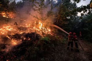 Mais de 100 concelhos mantêm-se hoje em perigo máximo de incêndio rural 