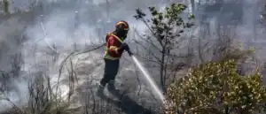 Três bombeiros mortos em Tábua 
