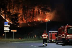 Incêndios: Distritos de Aveiro e Viseu com duas estradas nacionais cortadas 